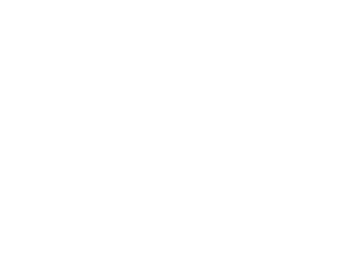 youservice.it