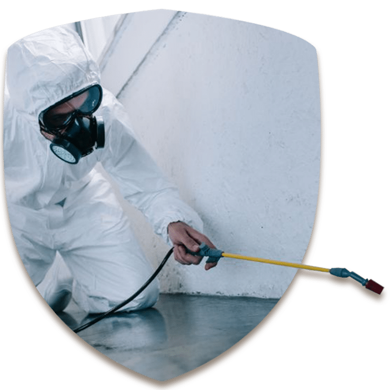 scudo con disinfestatore per servizio di disinfestazioni